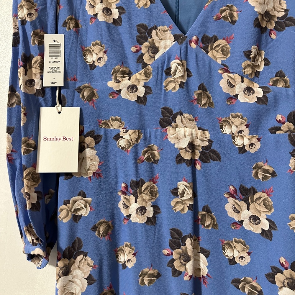 Aritzia Periwinkle Blue Floral V-Neck Long Sleeve Dress - Picture 4 of 6